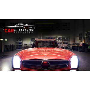 PlayWay SA Car Detailing Simulator