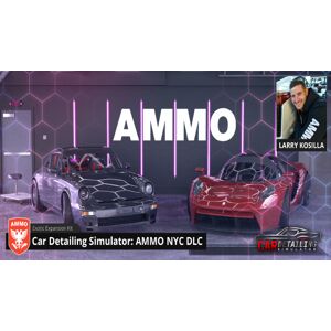 PlayWay SA Car Detailing Simulator AMMO NYC DLC