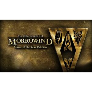 Bethesda Softworks The Elder Scrolls III Morrowind Game of the Year Edition