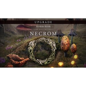 Bethesda Softworks The Elder Scrolls Online Upgrade: Necrom (Steam)