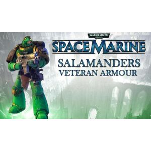 SEGA Warhammer 40000 Space Marine Salamanders Veteran Armour Set DLC