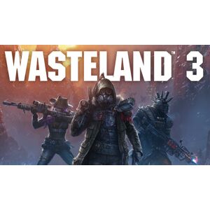 inXile Entertainment Wasteland 3 (Xbox One & Xbox Series X S) United States