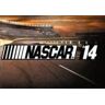 Kinguin NASCAR '14 Steam CD Key