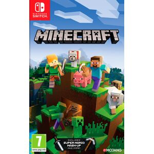 *Minecraft Nintendo Switch Edition