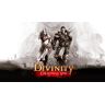 Divinity: Original Sin