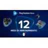 Playstation Now 12 Miesiące