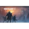 Wasteland 3