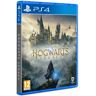 Jogo Ps4 Hogwarts Legacy