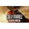 Techland Call of Juarez: Gunslinger