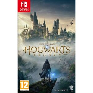 NINTENDO SWITCH Hogwarts Legacy