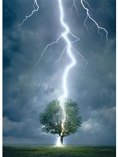 Eurographics Lightning Striking Tree