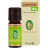 BIO + Lavanda Oe Bio 10 ml