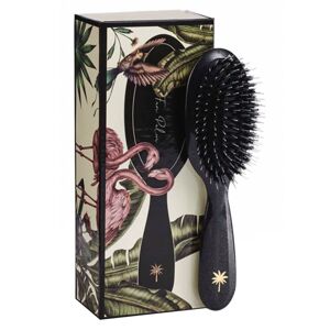 Fan Palm Hair Brush Small Stardust