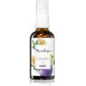 Anwen Passion Fruit óleo nutritivo para cabelo High Porosity 50 ml. Passion Fruit