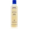 Aveda Brilliant™ Shampoo champô para cabelo quimicamente tratado 250 ml. Brilliant™ Shampoo