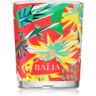 BAÏJA Tangerine Fizz vela perfumada 75 g. Tangerine Fizz