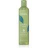 Echosline Energy Shampoo champô para cabelo fraco e cansado 300 ml. Energy Shampoo