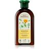 Green Pharmacy Hair Care Calendula champô para cabelo normal a oleoso 350 ml. Hair Care Calendula