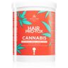 Kallos Hair Pro-Tox Cannabis máscara regeneradora para cabelo com óleo de cannabis 1000 ml. Hair Pro-Tox Cannabis