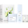 KERASILK Specialists Smoothing Set coffret (para alisamento de cabelo ) . Specialists Smoothing Set