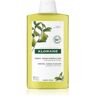 Klorane Cédrat champô de limpeza para cabelo normal a oleoso 400 ml. Cédrat