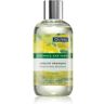 Olival Natural Rosemary and Lemon champô natural para cabelo oleoso 250 ml. Natural Rosemary and Lemon