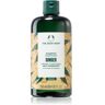 The Body Shop Ginger champô anticaspa 250 ml. Ginger