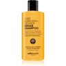 Udo Walz Rehab Kurkuma & Ingwer champô suave de limpeza 300 ml. Rehab Kurkuma & Ingwer