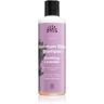 Urtekram Soothing Lavender champô apaziguador para cabelo brilhante e macio 250 ml. Soothing Lavender
