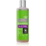 Urtekram Aloe Vera champô para cabelo para cabelo seco 250 ml. Aloe Vera