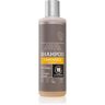 Urtekram Camomile champô para cabelo para todos os tipos de cabelo loiro 250 ml. Camomile