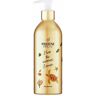 Pantene Botella rellanable Aluminio R & P champú 430 ml