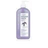 Clearé Institute Matizador violeta champÚ 400 ml