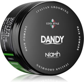 DANDY Water Pomade Anti-Gravity Effect pomada de cabelo com fixação forte 100 ml. Water Pomade Anti-Gravity Effect