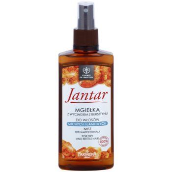 Farmona Jantar spray regenerador para o cabelo seco e frágil 200 ml. Jantar