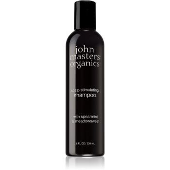 John Masters Organics Scalp champô estimulante para o couro cabeludo oleoso 236 ml. Scalp