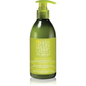 Little Green Baby champô e gel de duche 2 em 1 para bebés 0+ 240 ml. Baby