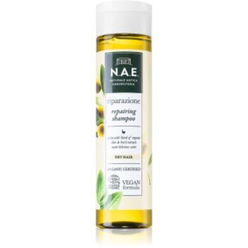 N.A.E. Riparazione champô regenerador para cabelo seco 250 ml. Riparazione