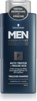 Schwarzkopf Men Active Protein champô nutritivo de limpeza para cabelo saudável e bonito 250 ml. Men Active Protein