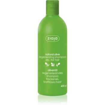 Ziaja Natural Olive champô regenerador para cabelo seco 400 ml. Natural Olive