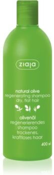 Ziaja Natural Olive champô regenerador para cabelo seco 400 ml. Natural Olive