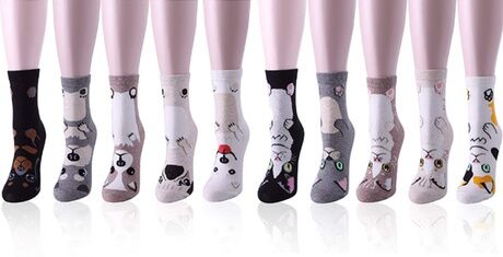 Groupon Goods Global GmbH Five or Ten Pairs of Cat or Dog Full Socks