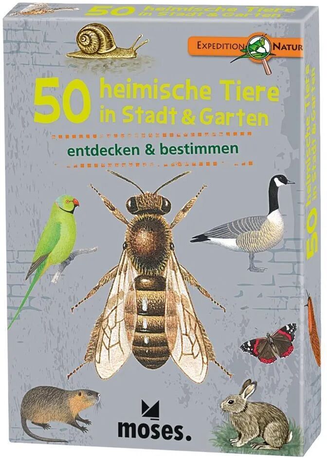 moses Verlag Expedition Natur 50 heimische Tiere in Stadt & Garten