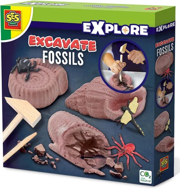 Creative Explore – Excavate Fossile