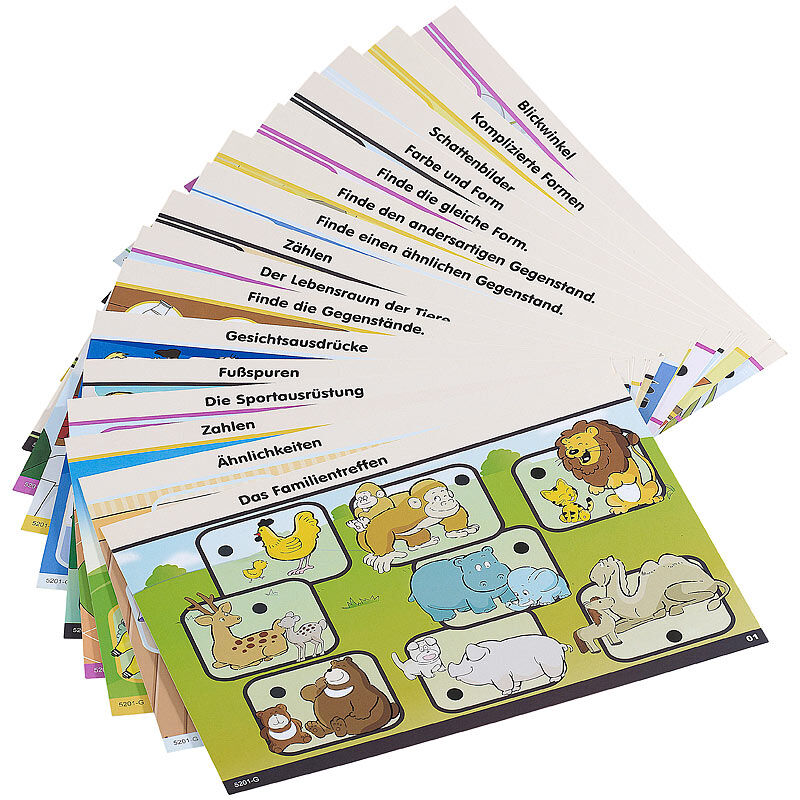 Playtastic Lernkarten-Set für NX-1189