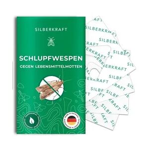 Schlupfwespen gegen Lebensmittelmotten: 3 Lieferungen je 4 Karten (12 Karten gesamt)