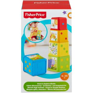 Mattel Fisher-Price Bunte Stapelwürfel