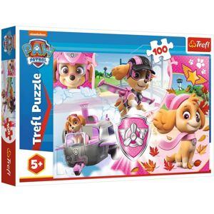 Trefl Skye in action Puzzle 100 pcs 16368