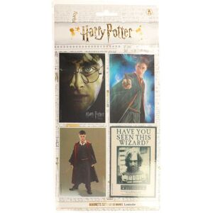 SD Toys Imanes Set 4 Harry Potter