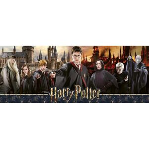 Nathan Harry Potter - La Guerre des Sorciers - Publicité